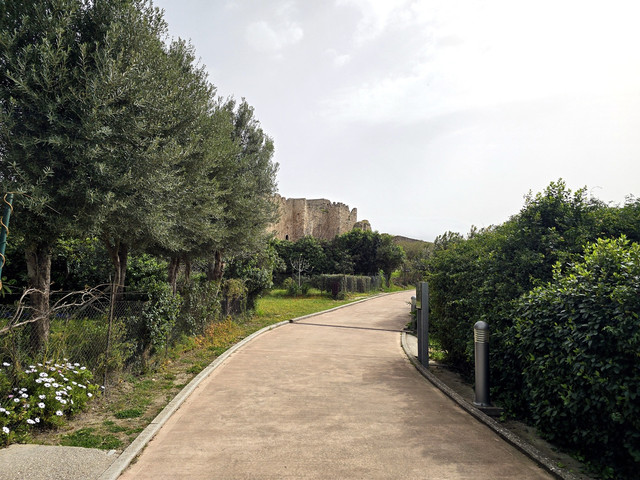 64.jpg