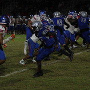 IMG-0442