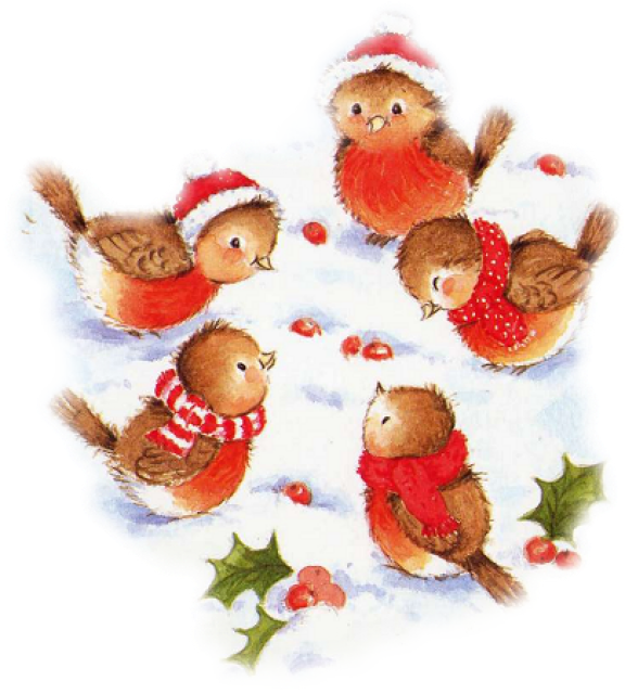 558143noel15.png