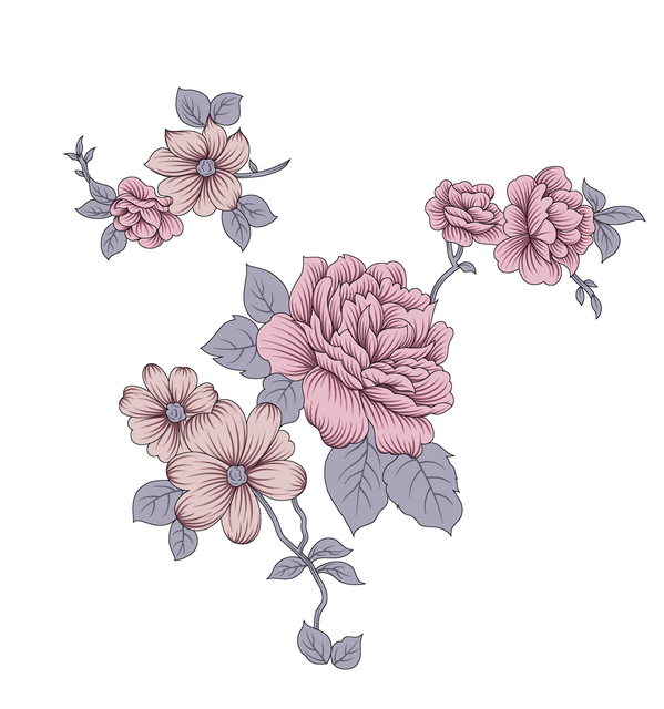 00258.png