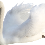 1-29