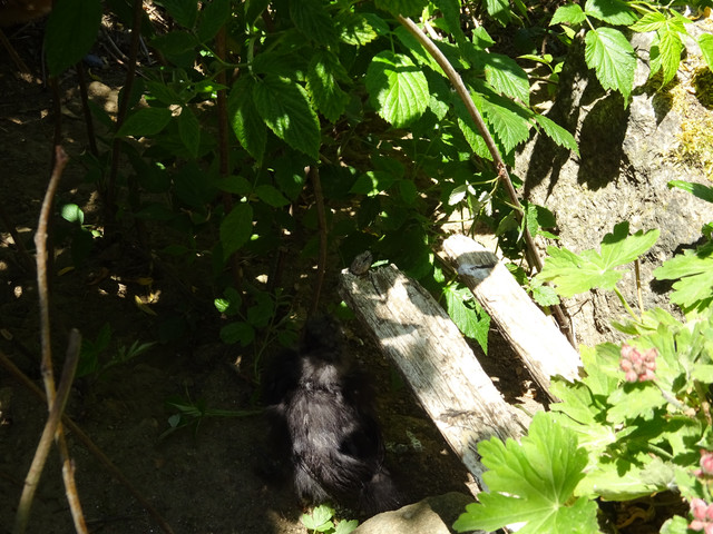 DSC03354.jpg