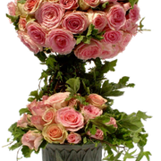 topiary-prose-1