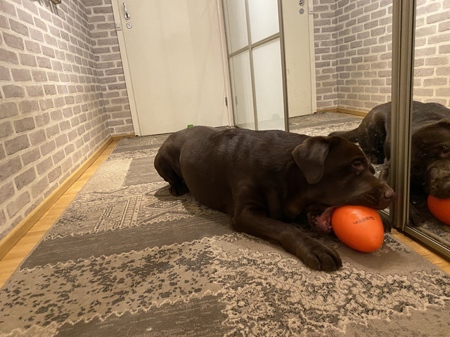 17842-BEB-3273-4-D0-A-A12-A-864-F7939-D7