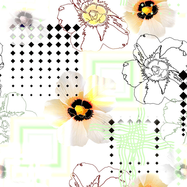 Adobe-Stock-381324477
