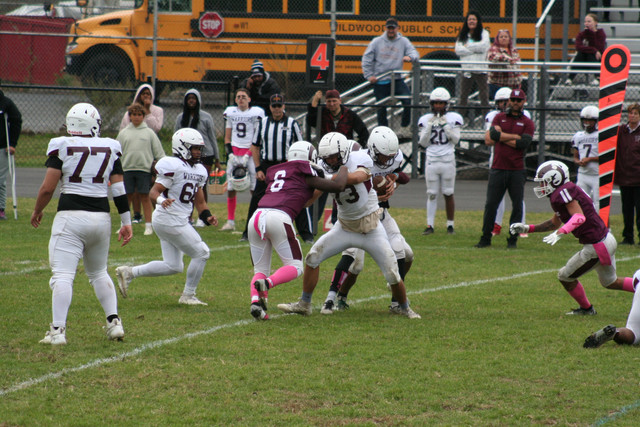IMG-0328.jpg