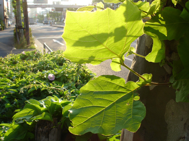 2010-06-03-29
