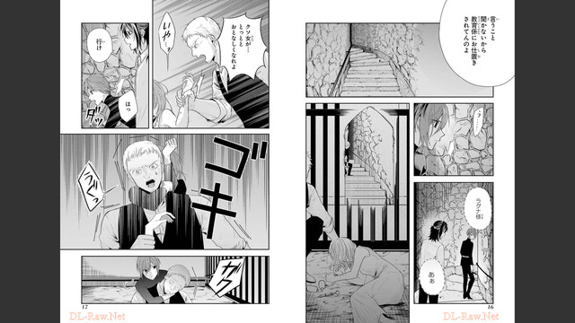 DLRAW-NET-010