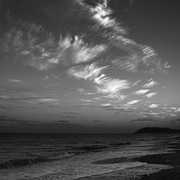 DSC-8604bwg