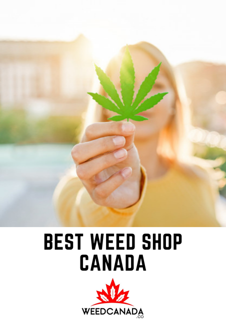 Best-Weed-Shop-Canada-18.png