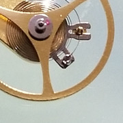 15623772051592