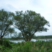 2021-07-16-009