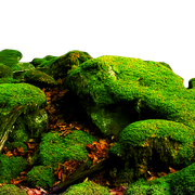 gl66x7d
