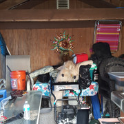 20190223-080714
