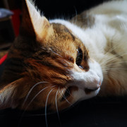 IMG-20210810-101810