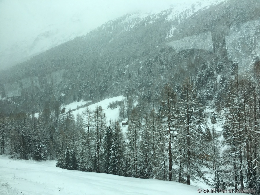 IMG-9133.jpg