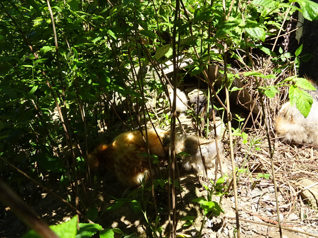 DSC03345.jpg