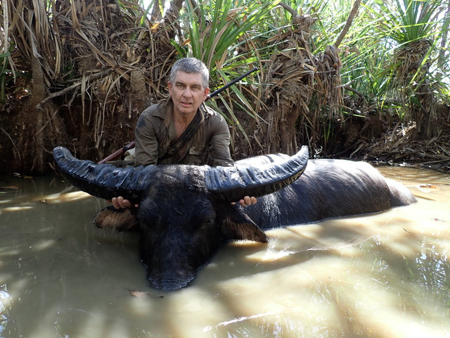 water-buffalo