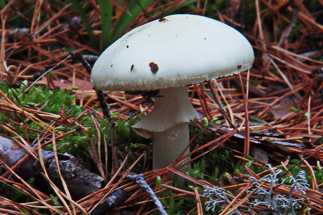 PA010161