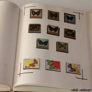 IMG-3976