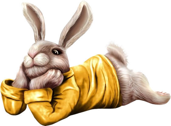vf19vt6m7g4.png