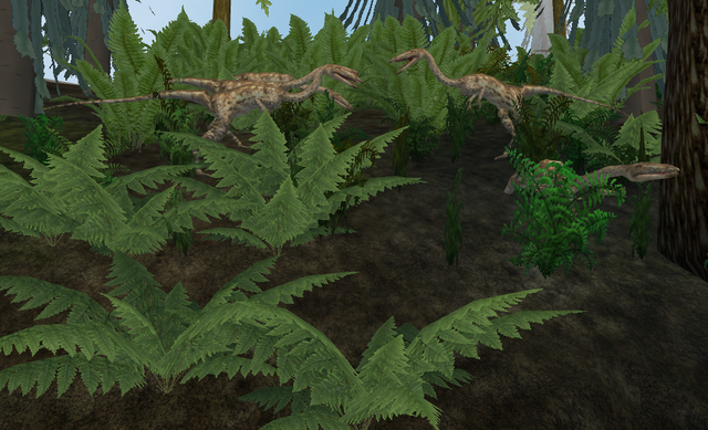 swamp4