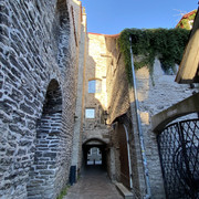 IMG-1381