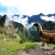 Machu-Picchu-Peru