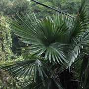 DSC-6901