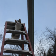 IMG-1284