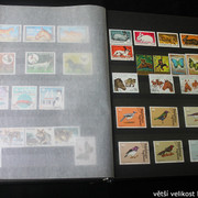 IMG-2248