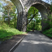 DSCF7950