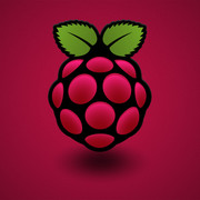 raspberry-2