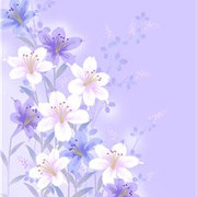 56361fe1b55et