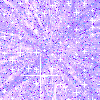6a75c89fcb46