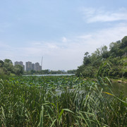 IMG20200717124041
