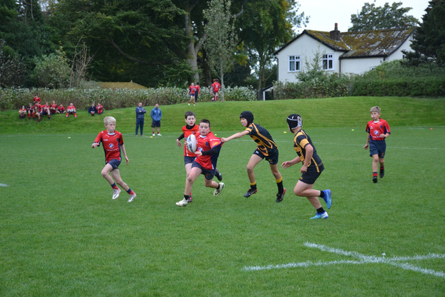 DSC-1141.jpg