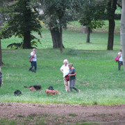IMG-8800