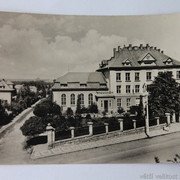 IMG-6481