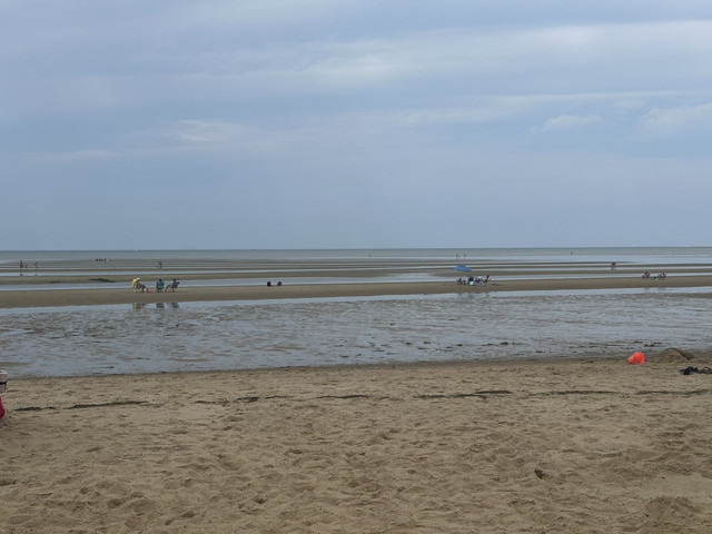 IMG-6229