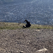 IMG-6113