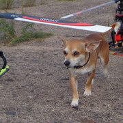 DSC00667