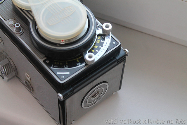 IMG-9810.jpg