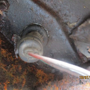 IMG-6110