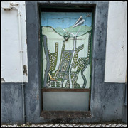 comp-IMG-7275