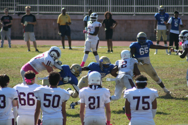 IMG-1280.jpg