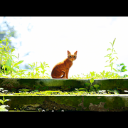 20220725120438-1-In-Pixio