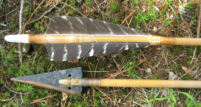 River-Cane-Arrows6