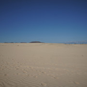 DSC01205