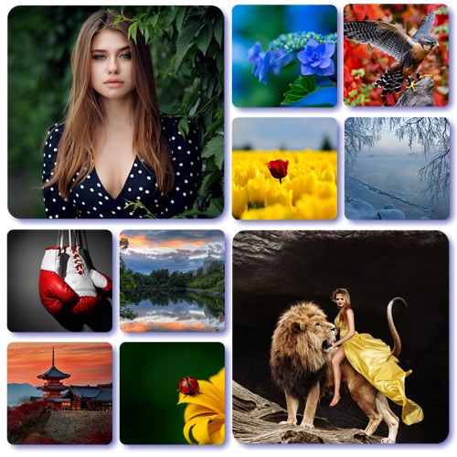 Beautiful Wallpapers Pack 1439